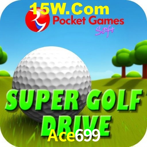 2FA Security Ace699